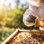 Beekeeping for Beginners